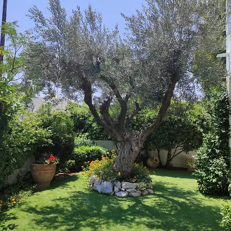 Porto Hydra - Mirani Villa Hermione